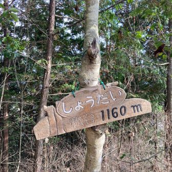 小大山の山頂に到着！！
眺望ないですが、結構立派な山頂標識がありました。

「松台」なの？？(・・;)