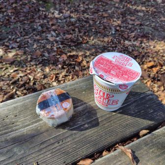 カップヌードルとセブンのおにぎり食べて下山します。