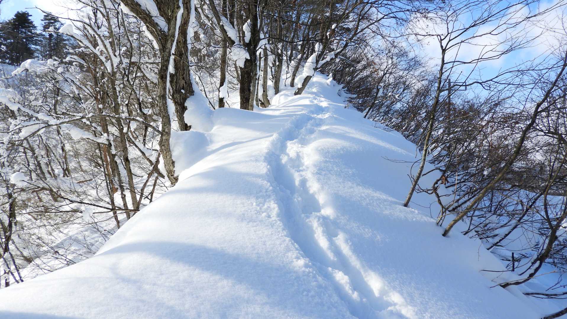 峰の道にもトレース。痩せた尾根で一部踏み抜きが危険な場所があるけどトレースのお陰で楽できました。