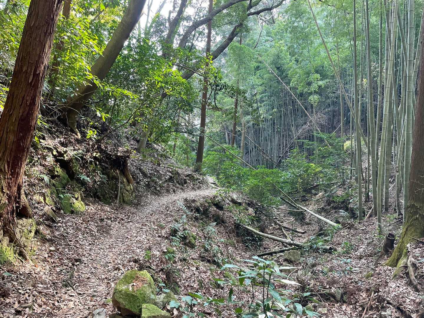 立花山 周回コースの写真