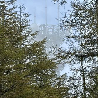 霧に包まれると人工物の違和感が際立つような…🤖