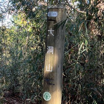 最後の大洞山最高峰到着〜✌️