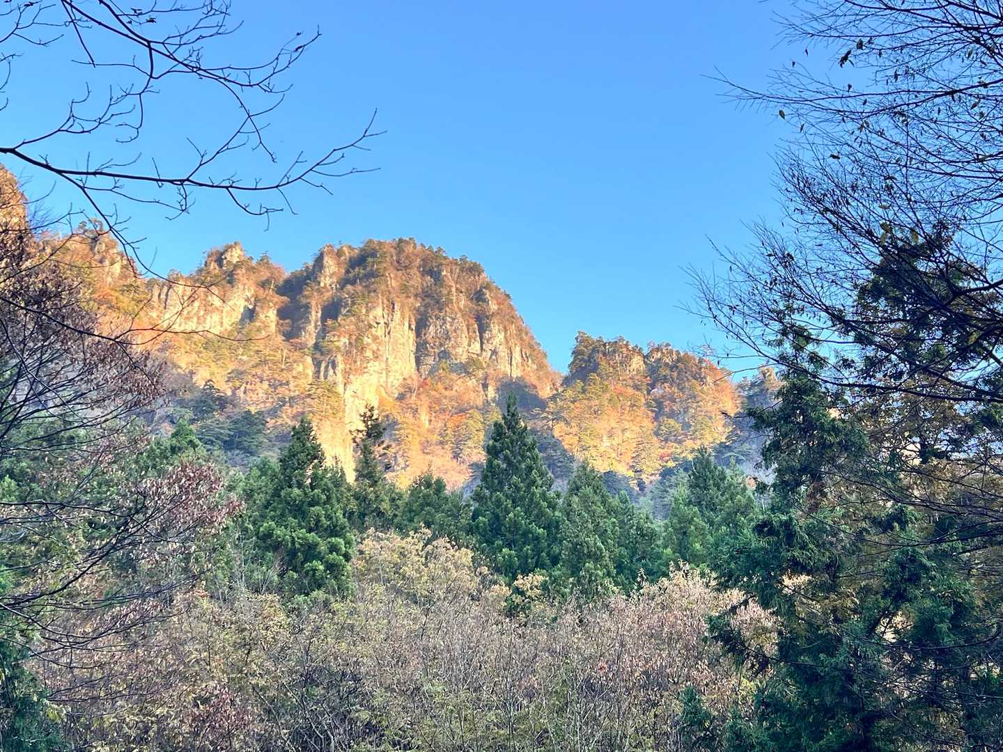 今日も御殿が綺麗！