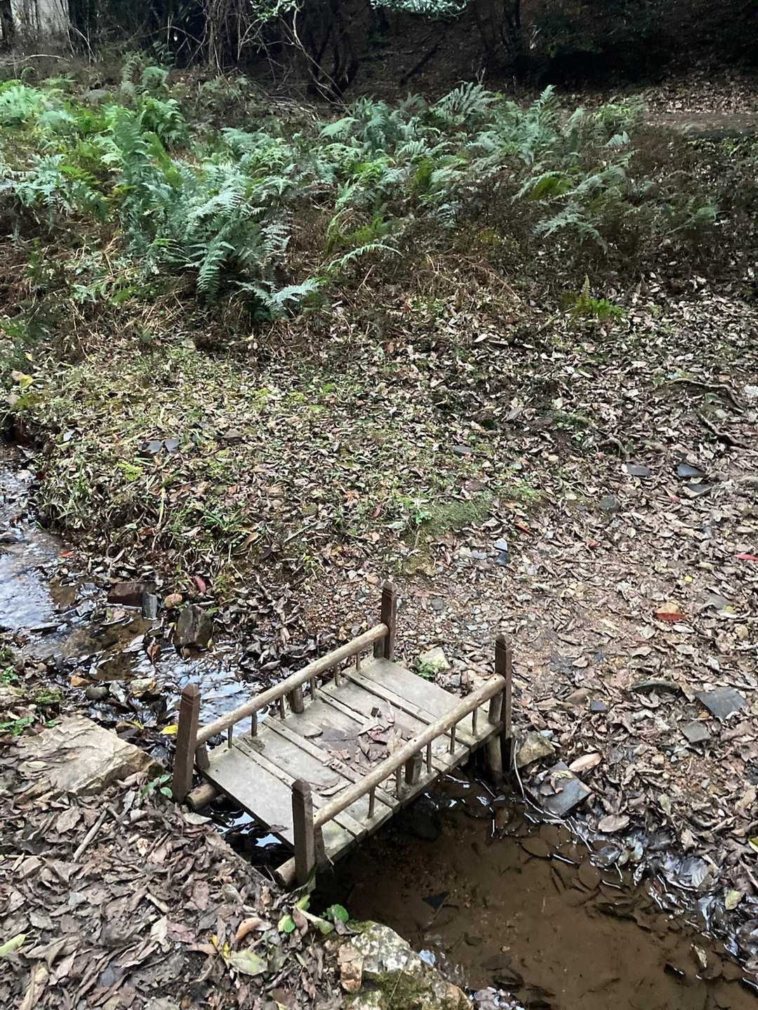 おもちゃみないなミニお橋
かわいい
前なかったね？
作ってくれた何方、ありがとう！