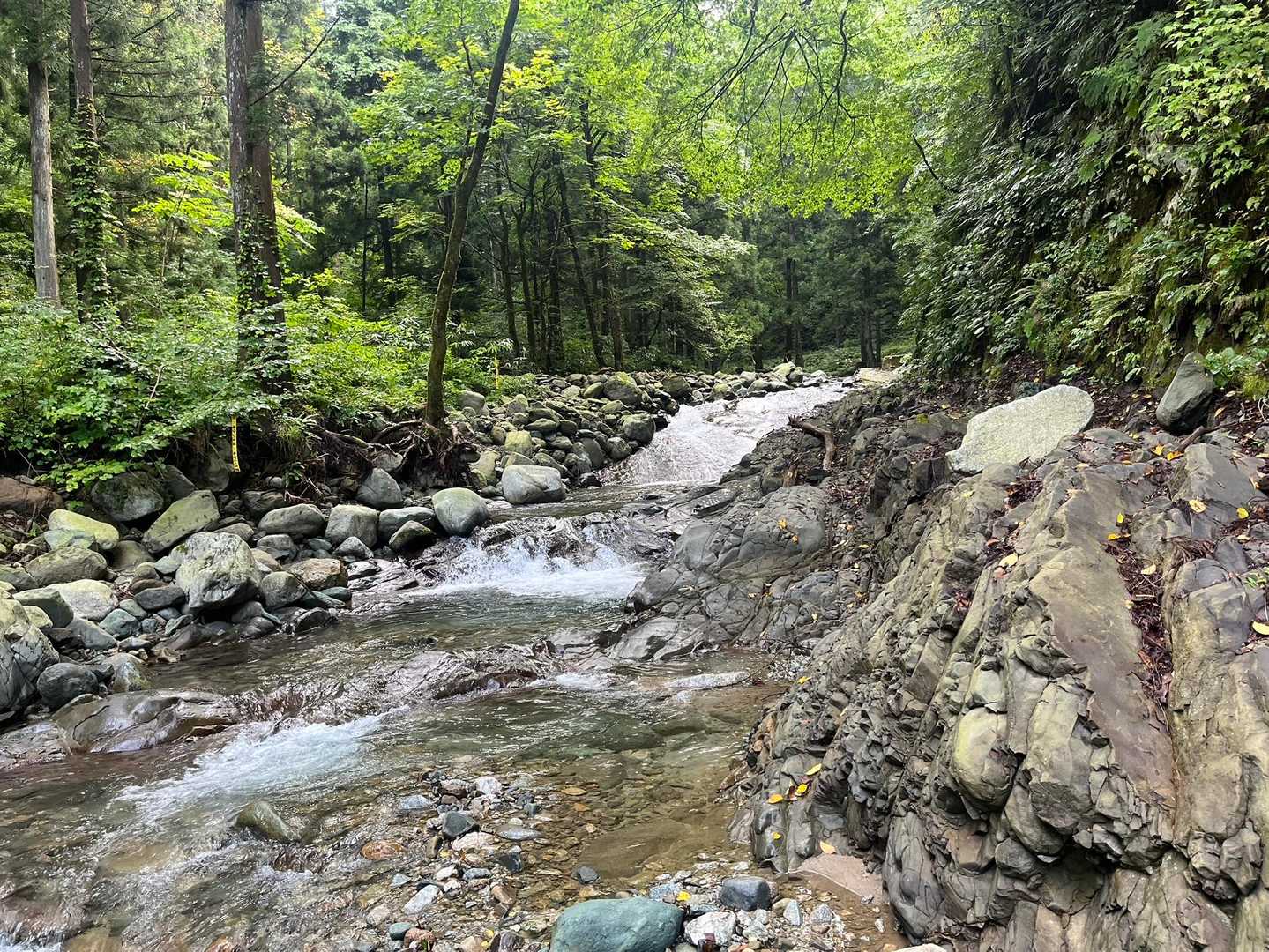 この前登山口まで偵察に来たら虻がモッサリ居たのに今回はほぼ居ない！９月だから？？