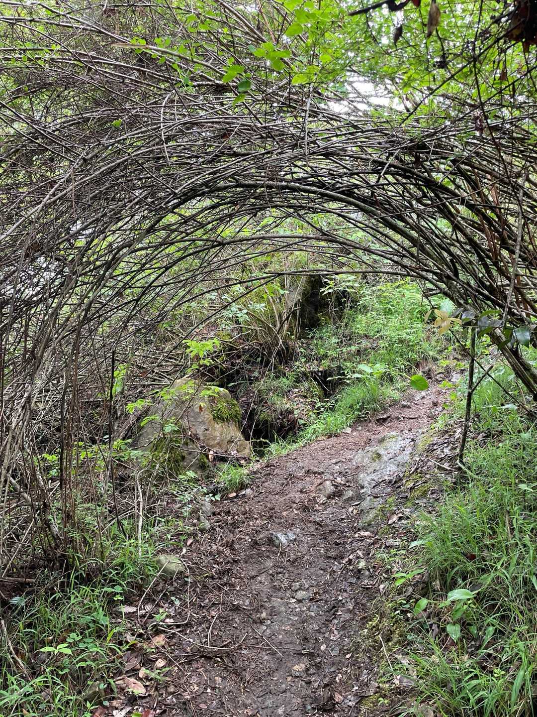 トンネル