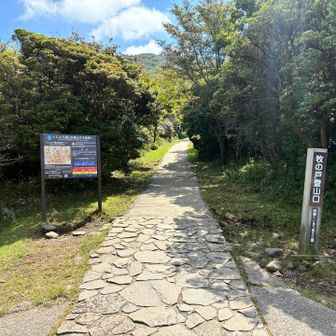 牧ノ戸登山口まで下りてきました
ここからワインディングロードを6キロ、1キロずつ走って歩いてを繰り返しました