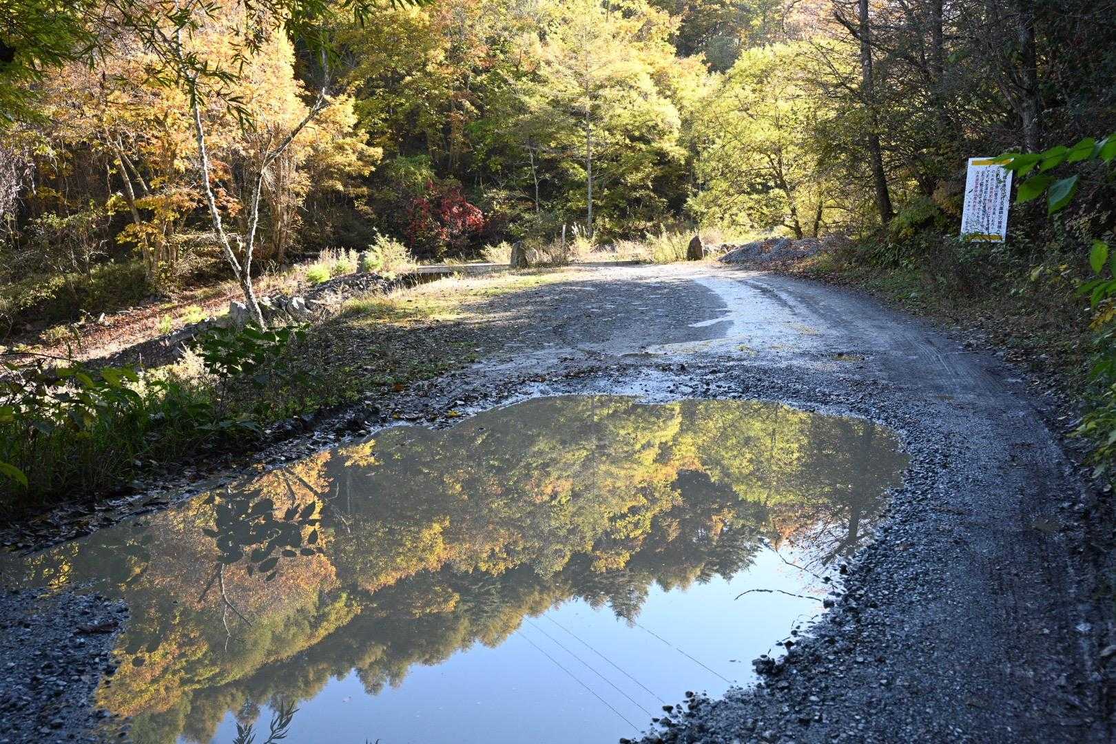 余裕の小屋泊なのでゆっくりめのスタート。
美濃戸口から美濃戸への林道を歩き始める。