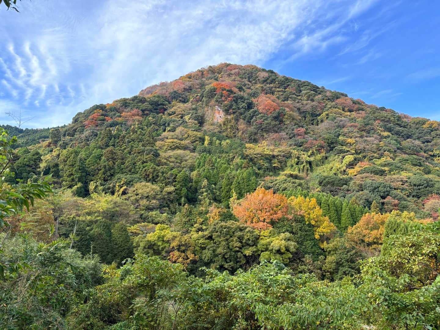 紅葉の高崎山🐒