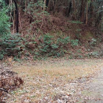 案内板の反対側に、姫御前岳⛰️の登山口。