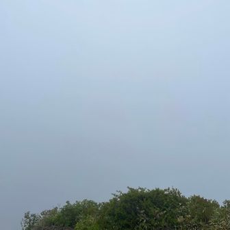 ん真っ白気😶‍🌫️
去年の駒さん〜中ノさんの時も真っ白気。
風も強く雨心配🫤
カップラーメン諦めて🍙