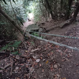 崩落してるにゃ。ロープをつかんで下りるにゃ。
石楠花山側の入り口には立ち入り禁止って書いてたにゃ。
（≡ー・ー≡；