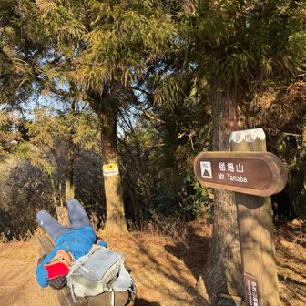 棚場山手前で眠くてたまらなくなり、ベンチに寝転がるけど眠れない。