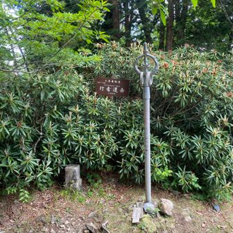 行者還岳、ここも奥駈道から外れたところにピークがある。登りで、モンベルの行者還岳ツアーの方の後ろについて登った。直ぐに写真撮影会が始まったけど、少し失礼して、先にピーク写真を撮らせて頂きました😊