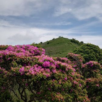 ken15（弱虫クライマー）