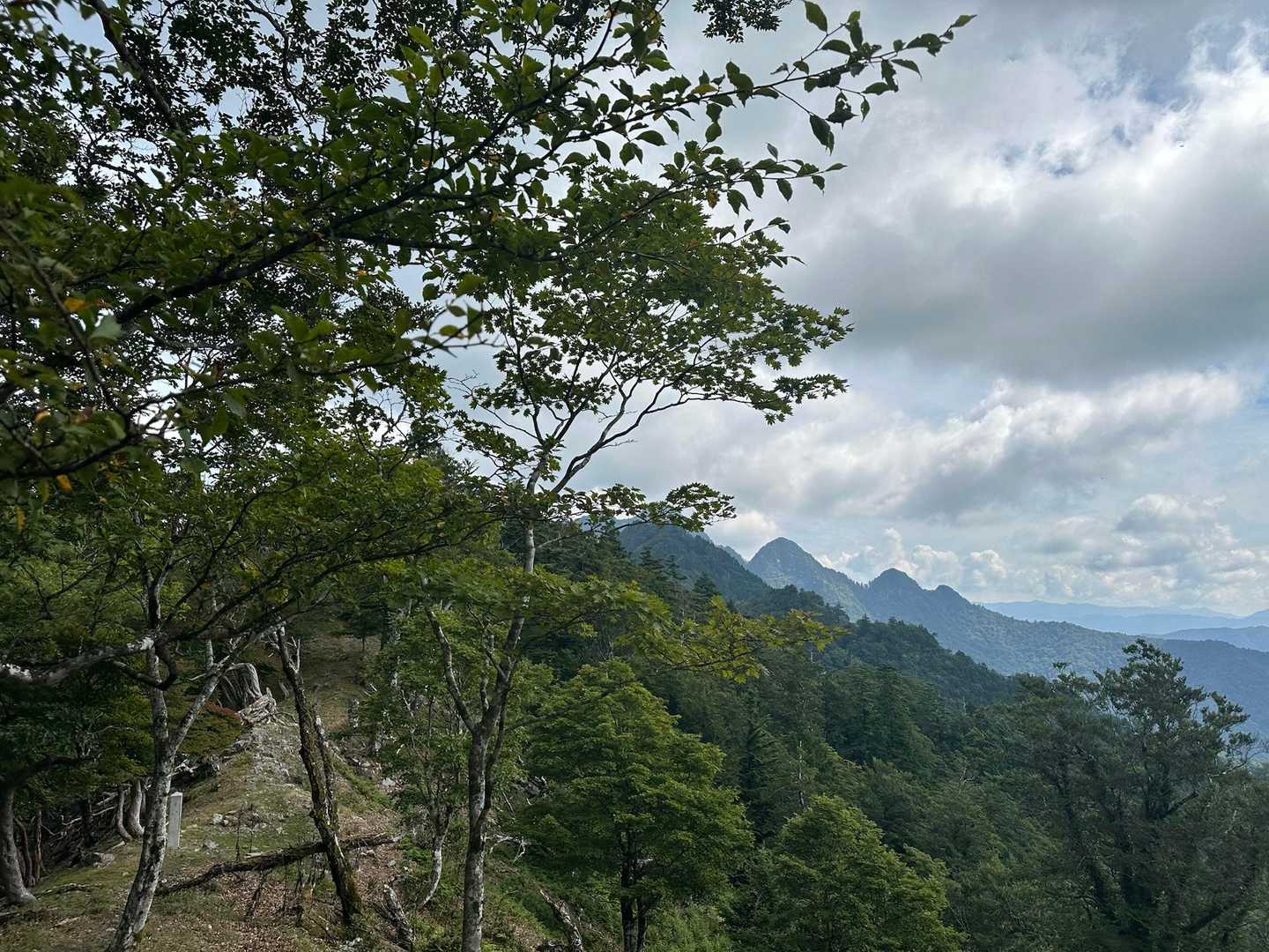 景色も楽しみながら下山ですが、、登り返しが結構堪えました⤵️