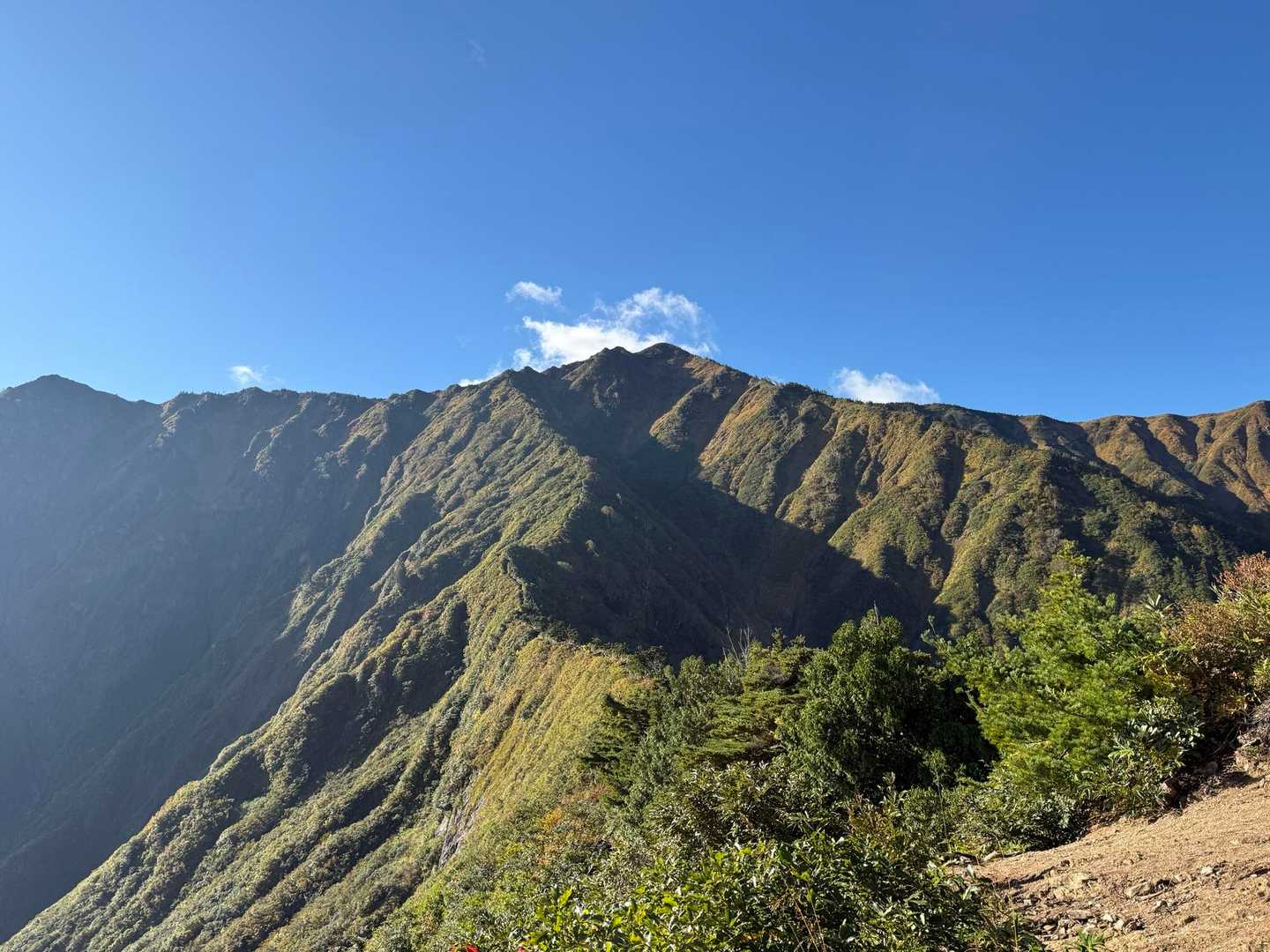 荒沢岳への稜線