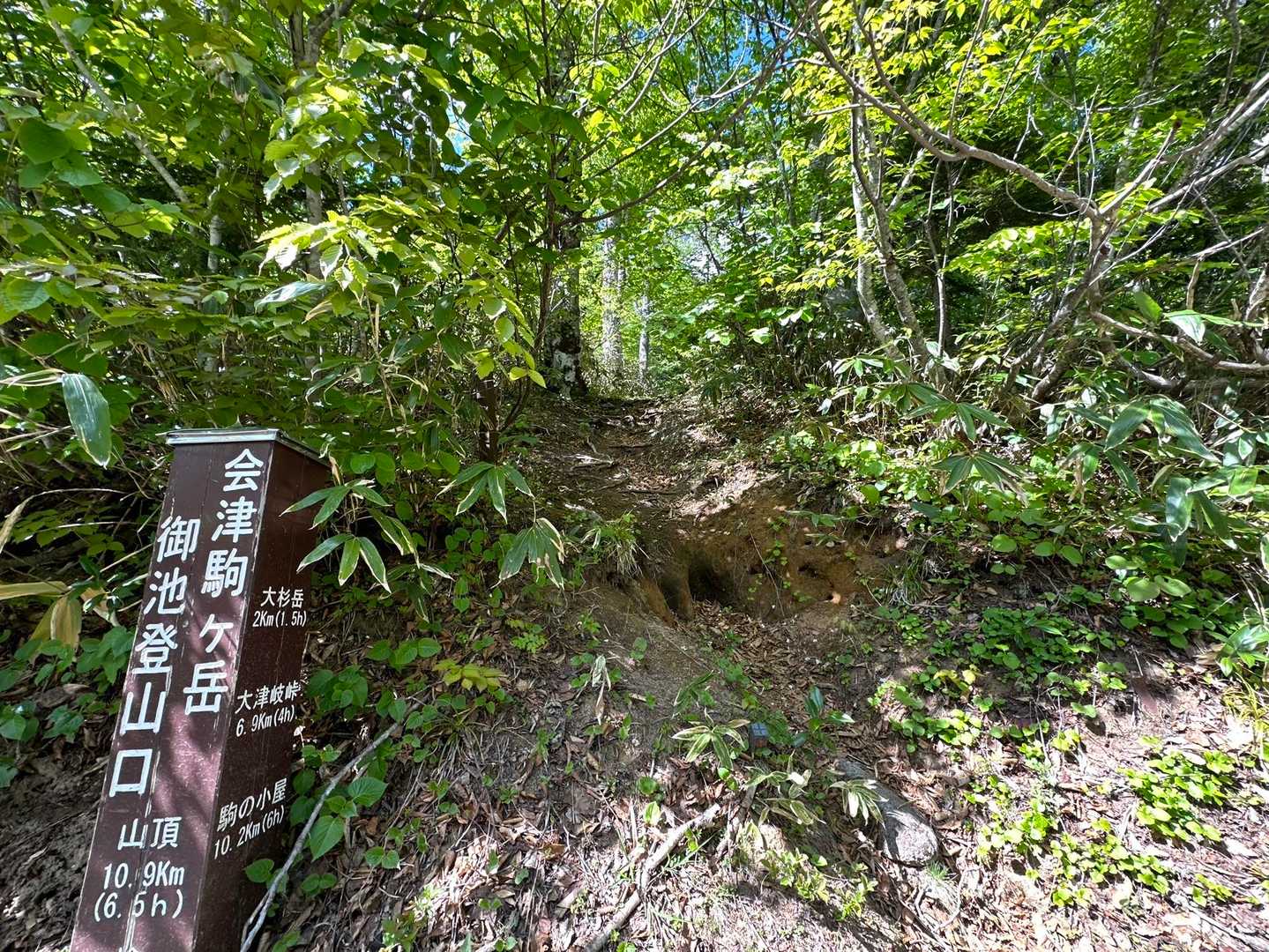 ありがとうございました😊‼️