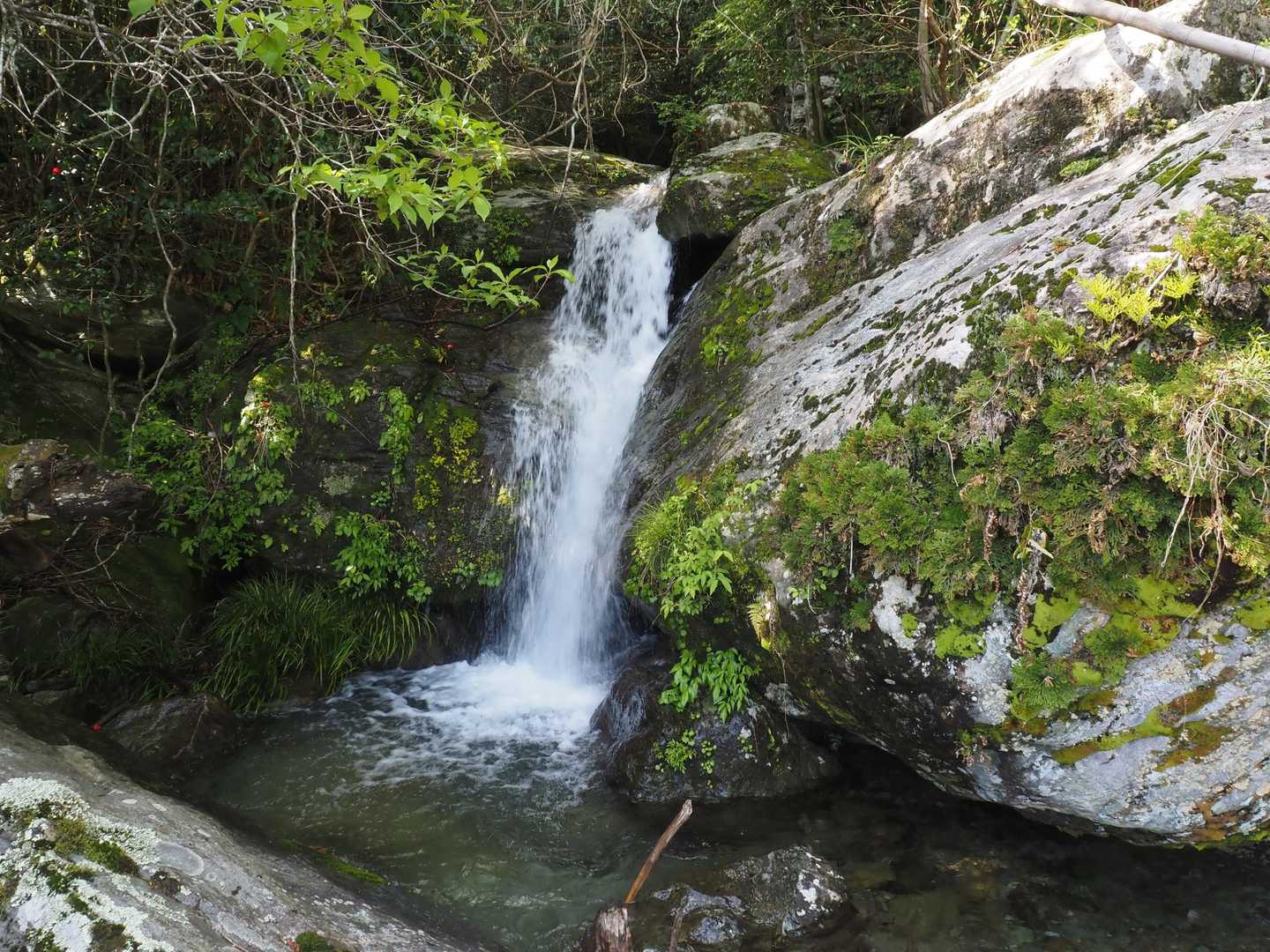 帰りに寄った登山口近くの双竜の滝
左奥にもう一筋、小さな滝があります
この二つで双竜かな？