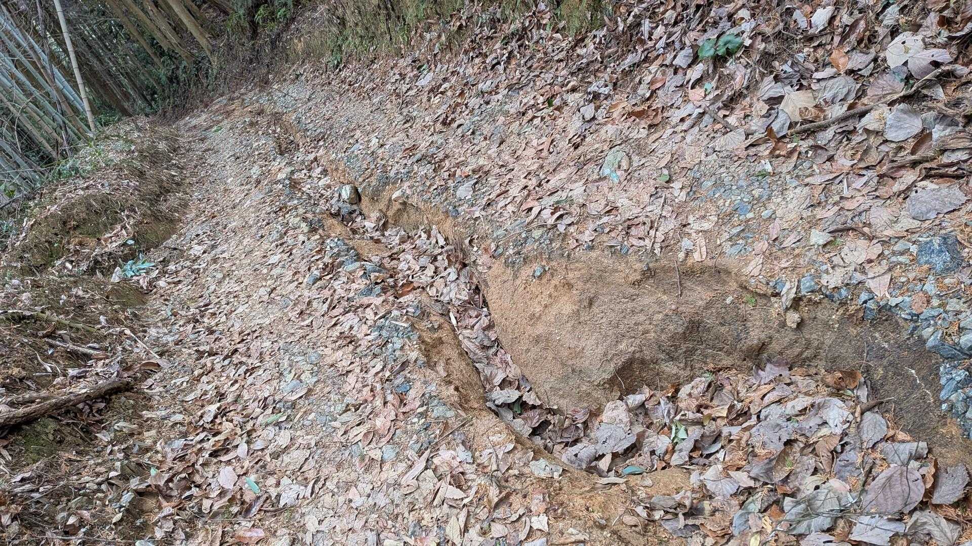 林道の真ん中がえぐれてる