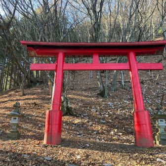 今年は登って無かったようで、すみませんでした🙇🙇
