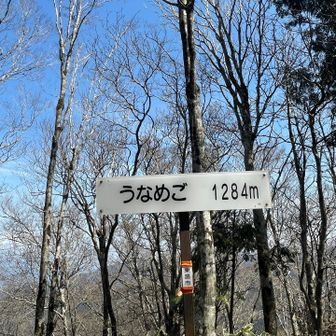 手前は笹こぎして登りました