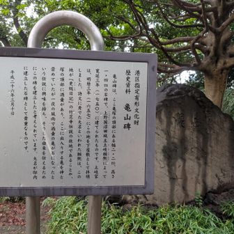 芝丸山、今日は新規に４座をピークハント🤗
品川富士🗻は、昔、近くを歩いていたので除く😅