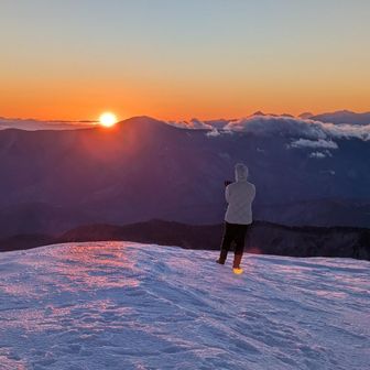 そして朝日に映えるぽぽさん🐰✨️