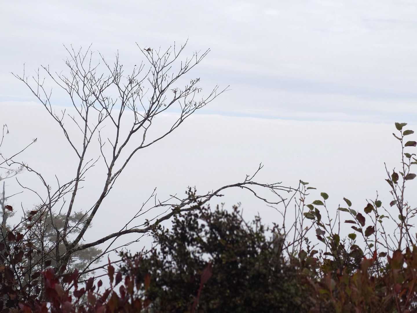 立烏帽子の山頂。
北方面は雲海が見えてた🤗