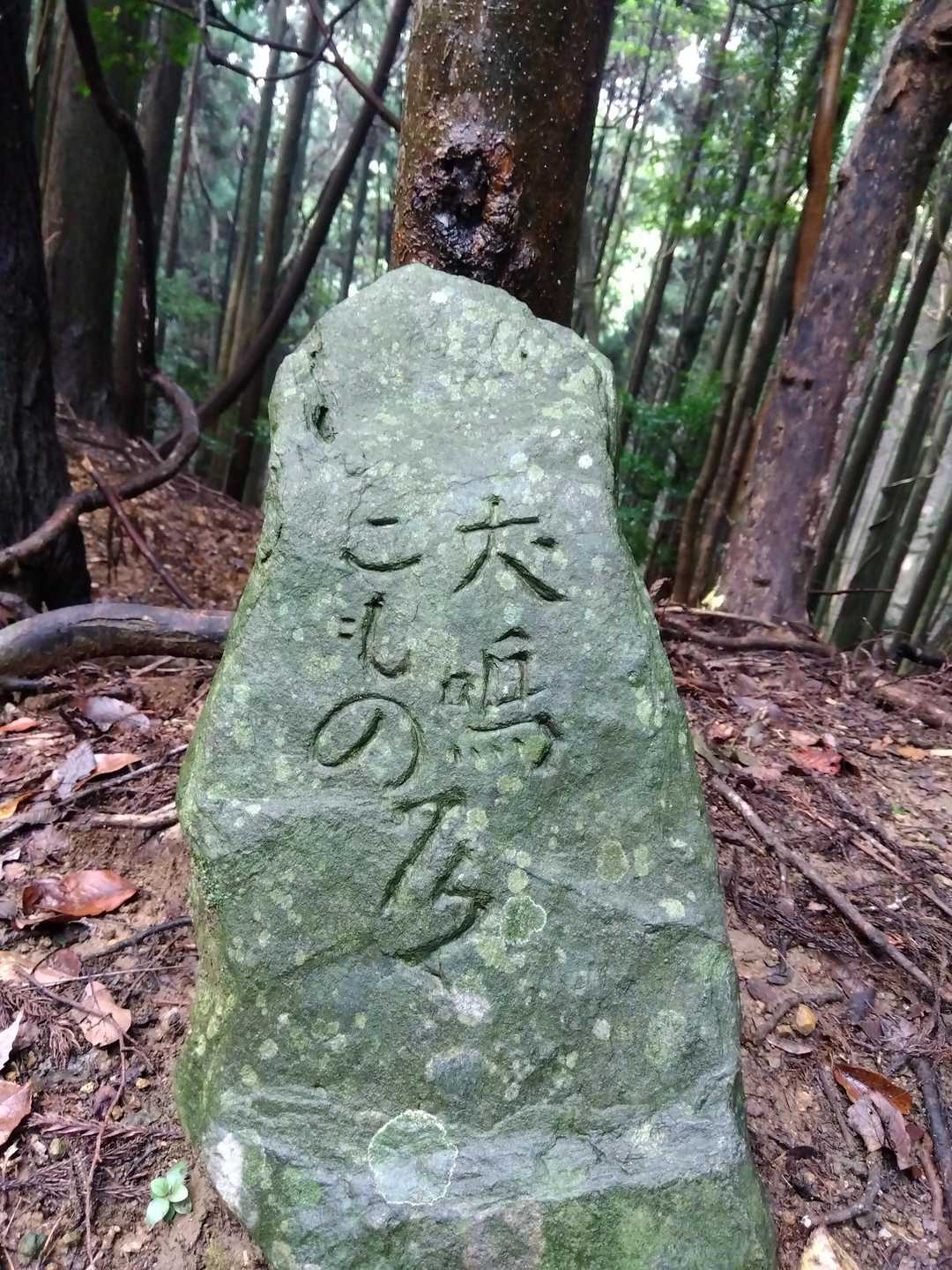 この岩初めて見た✨