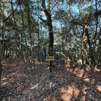 はじめまして藍染山、眺望なし
ランチしようと思ったけどやめた