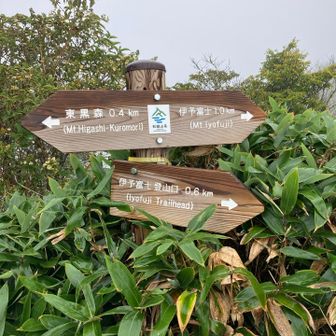 分岐
両方行こうね♪