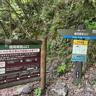 頭からは意外にめっちゃ良い道やった(・∀・)