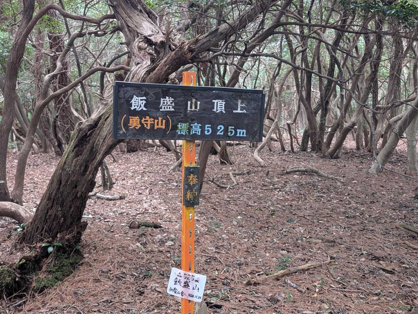 ここまでかなり急登でした😢