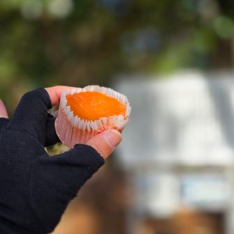 今日のおやつ
ローソン
生ベイクドいちごチーズケーキ

濃厚、滑らかで、うまうま

今日は周回で帰ります
岩伽羅山から南に降りて、支城である「衣掛山（衣掛城址）」に寄っていこう