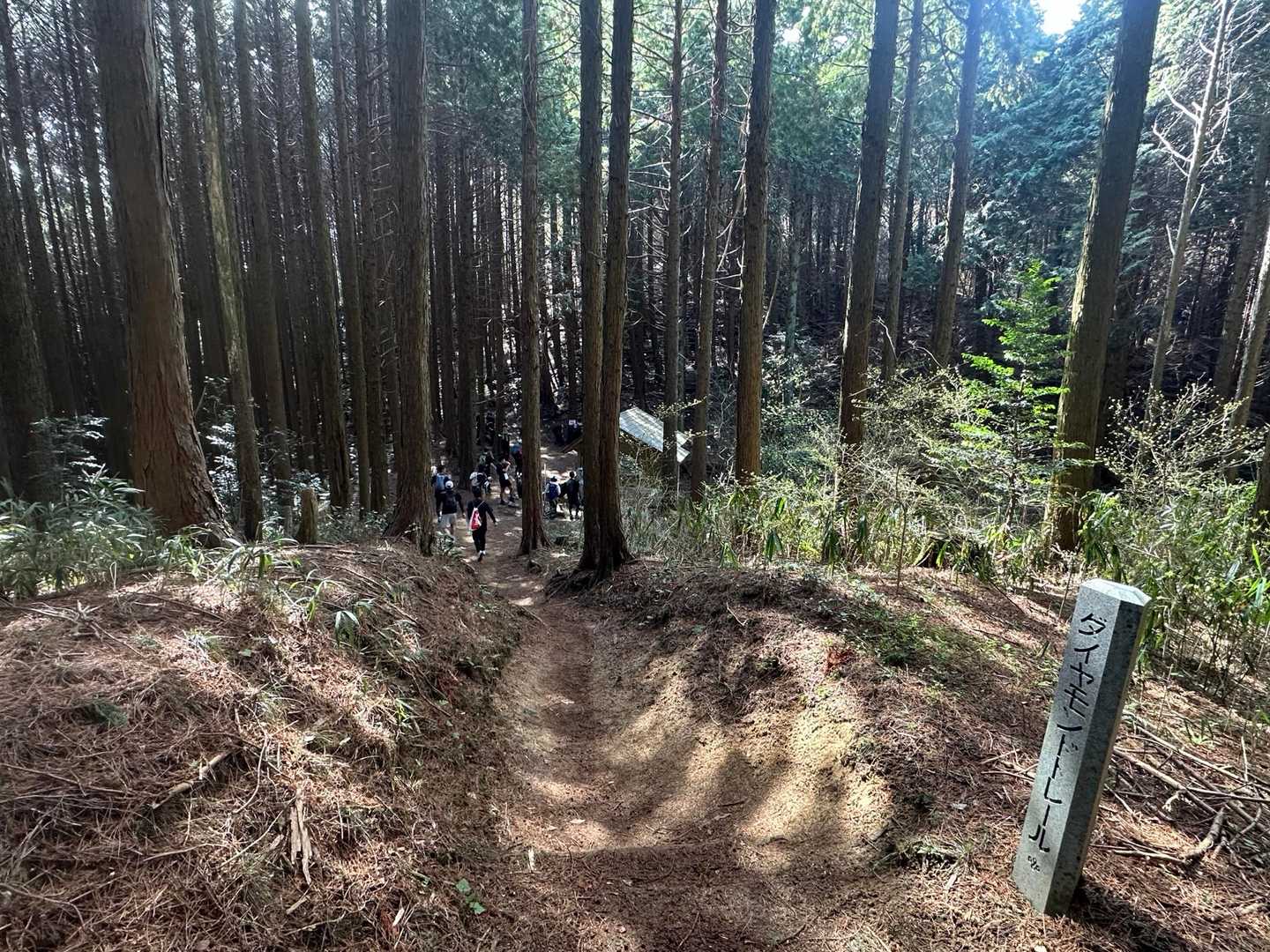 ここを下りた所にトイレがありますよ🚽
けっこう並んでましたよ🤭
この先から大和葛城山への登りが始まる💪