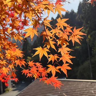 下山後のアフターへ急いだけれど