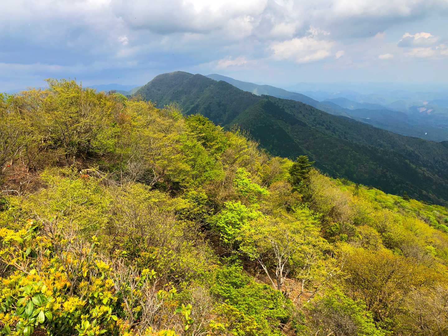 滝山(中央の黒い山)の奥に隠れるように見えている那岐山