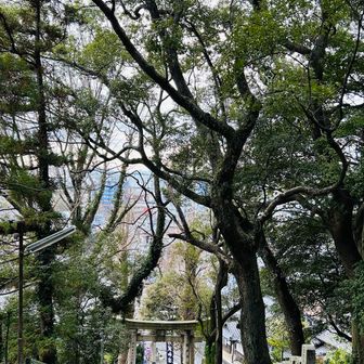 町の人に大切にされているのがわかる、美しい神社