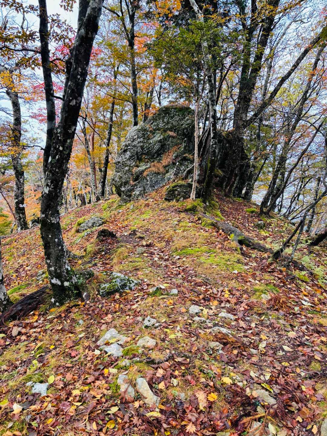 明神平-明神岳-判官平-桧塚-桧塚奥峰-前山-薊岳 周回コースの写真
