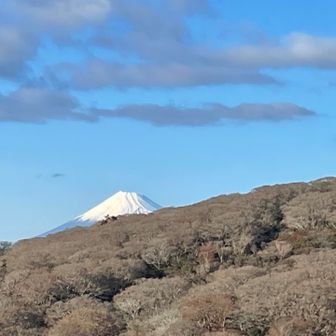 チラッと富士山🗻