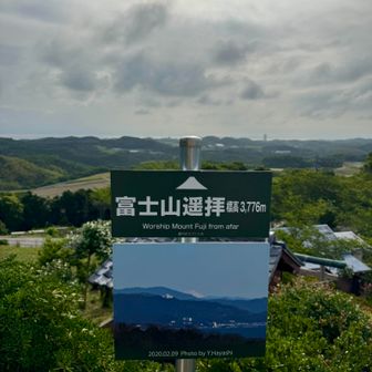 是非、富士山を見たい！