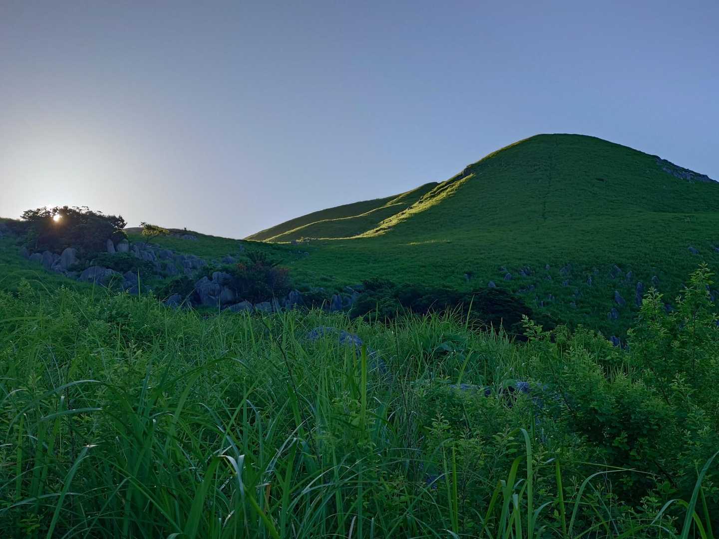 大平山-四方台-貫山-中峠 周回コースの写真