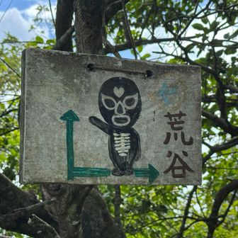 コヤツは元気😀