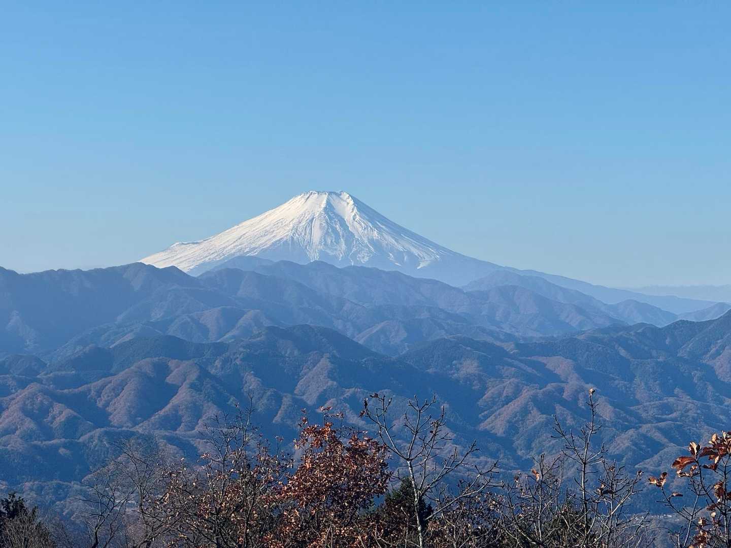 高尾マンモストレイルの写真