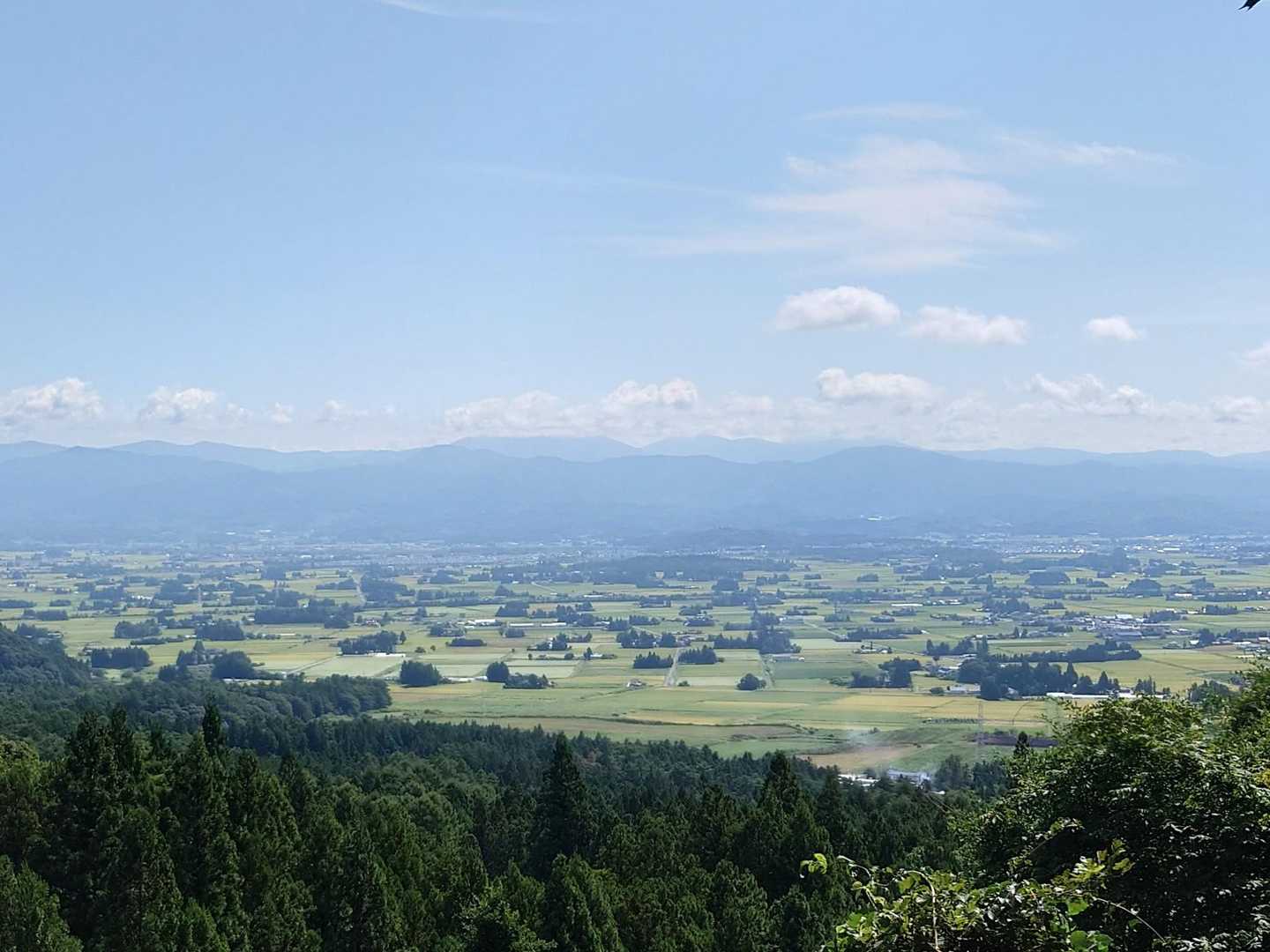 東根山 往復コースの写真