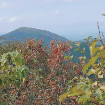 西鳳翩山と柿の葉🍁