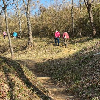 人生の先輩方が登ってますね