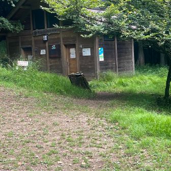 頂上付近にある🚾です。
