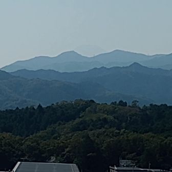 うっすら見えた富士山。飯能からはこの程度です。